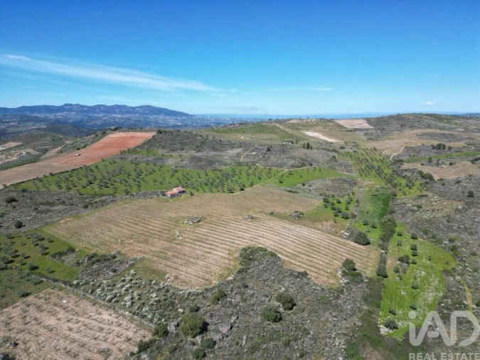 Quinta para Venda em Vilas Boas e Vilarinho das Azenhas Foto 17