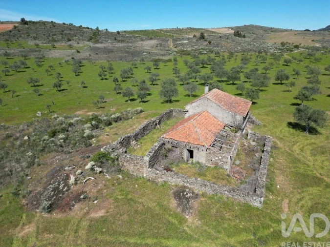 Quinta para Venda em Vilas Boas e Vilarinho das Azenhas Foto 8