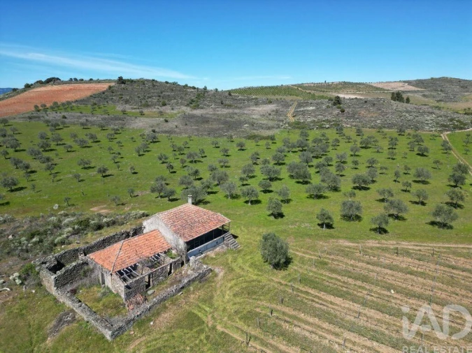 Quinta para Venda em Vilas Boas e Vilarinho das Azenhas Foto 3