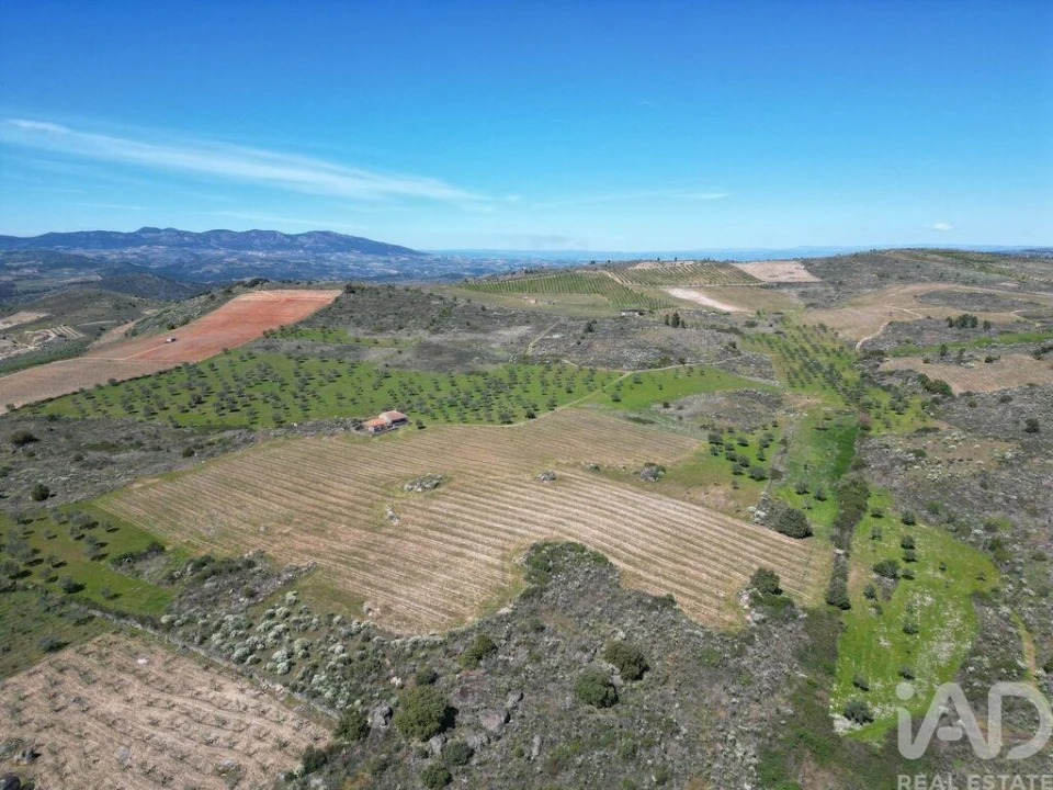 Quinta para Venda em Vilas Boas e Vilarinho das Azenhas Foto 17