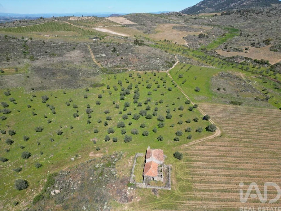 Quinta para Venda em Vilas Boas e Vilarinho das Azenhas Foto 25