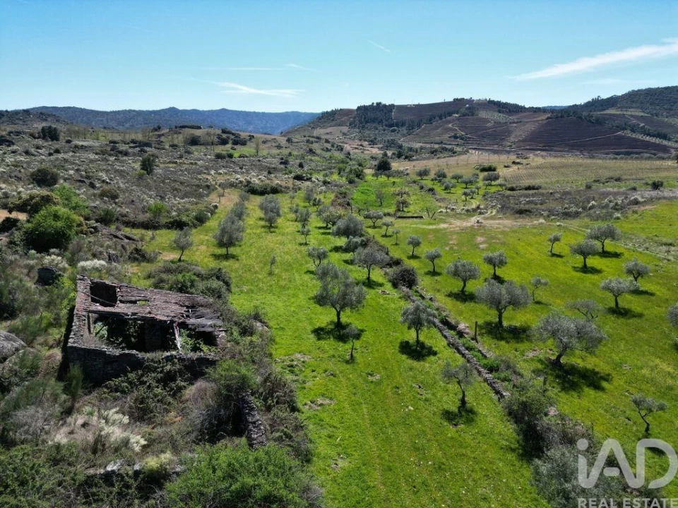 Quinta para Venda em Vilas Boas e Vilarinho das Azenhas Foto 9