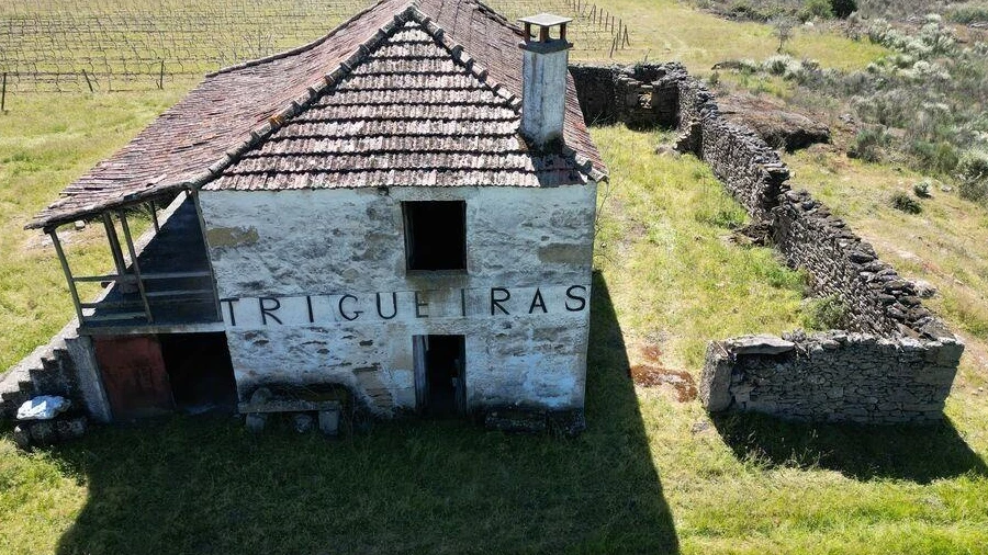 Quinta para Venda em Vila Flor e Nabo