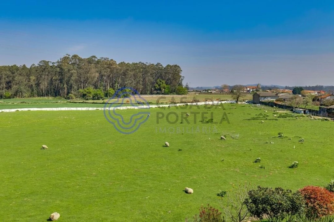 Apartamento T2 para Venda em Arvore Foto 31