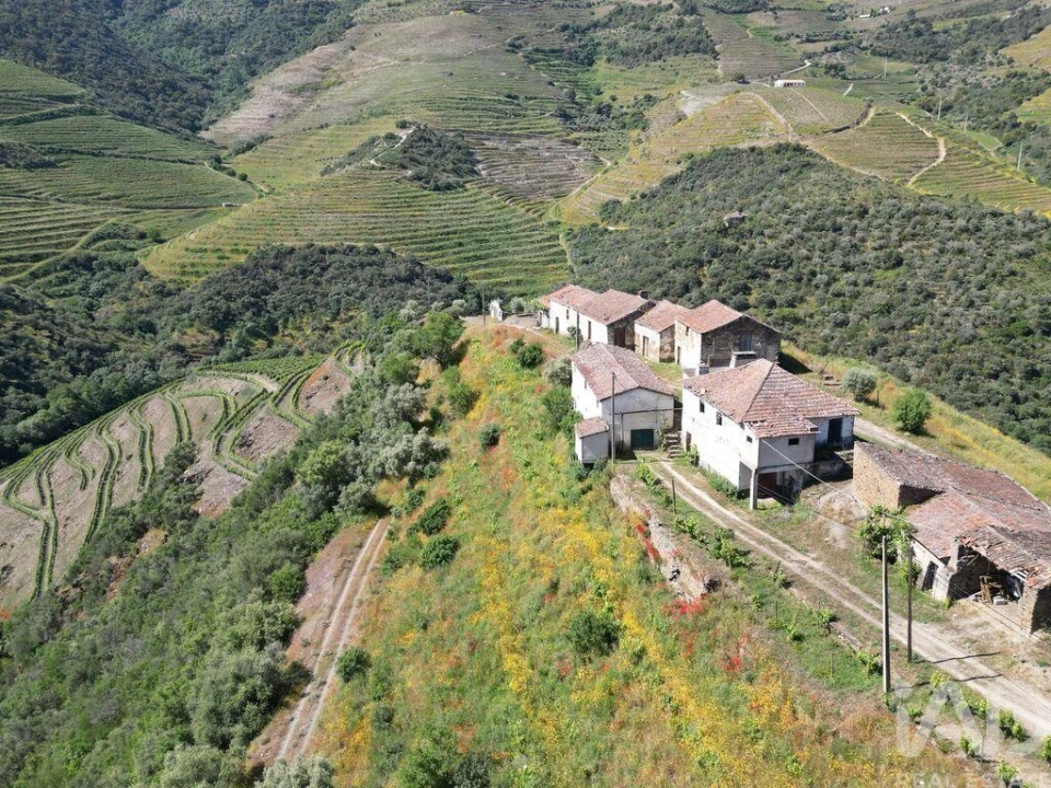 Quinta para Venda em Ervedosa do Douro Foto 2