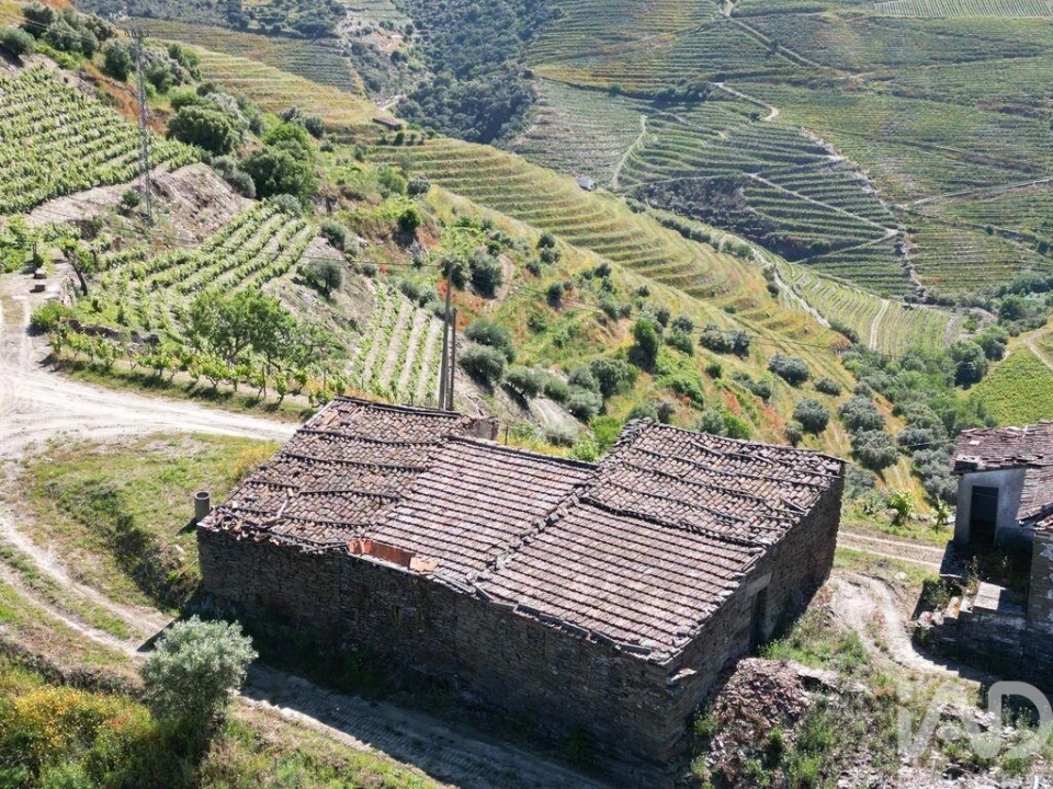 Quinta para Venda em Ervedosa do Douro Foto 7