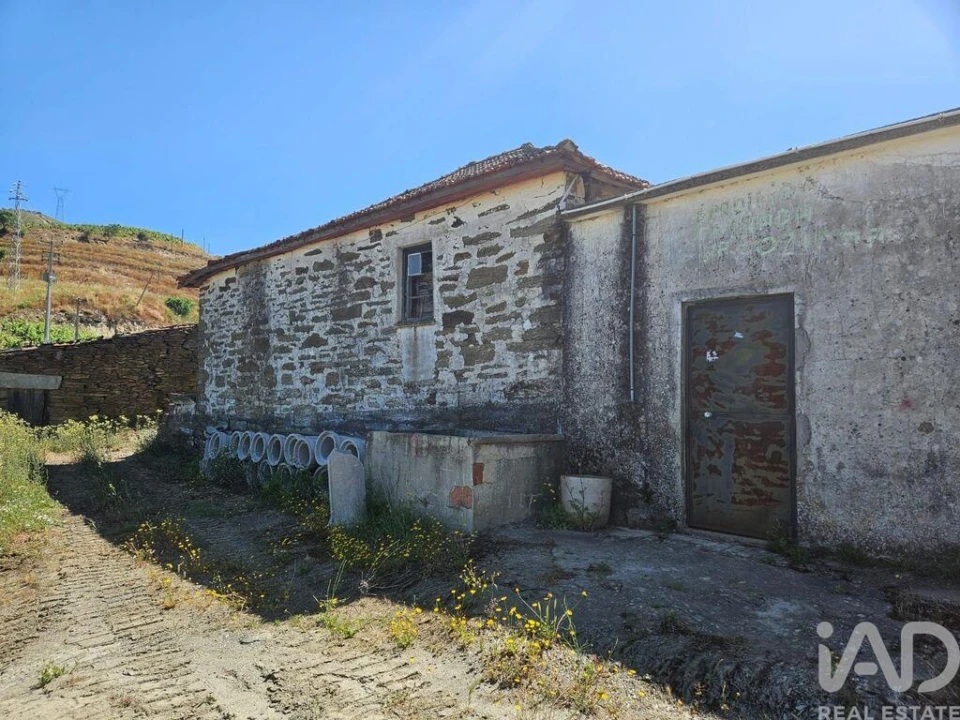 Quinta para Venda em Ervedosa do Douro Foto 14
