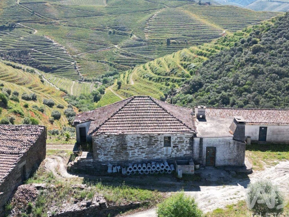 Quinta para Venda em Ervedosa do Douro Foto 6