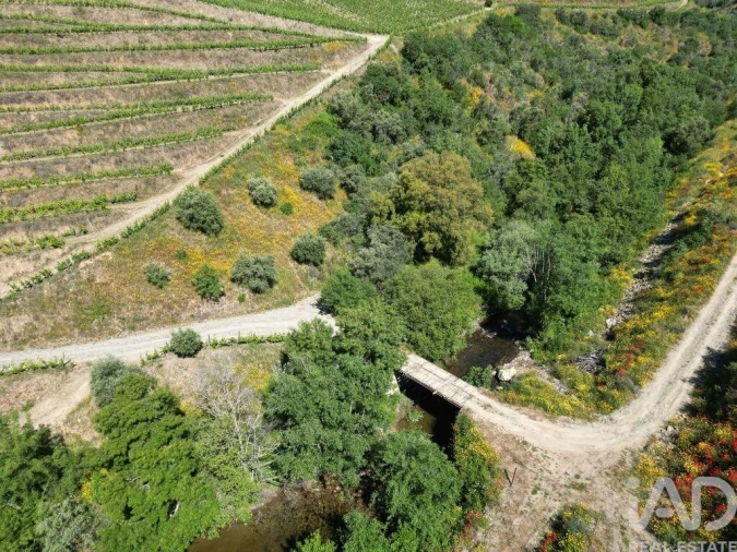 Quinta para Venda em Ervedosa do Douro Foto 4