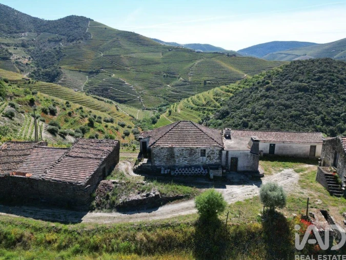 Quinta para Venda em Ervedosa do Douro Foto 5