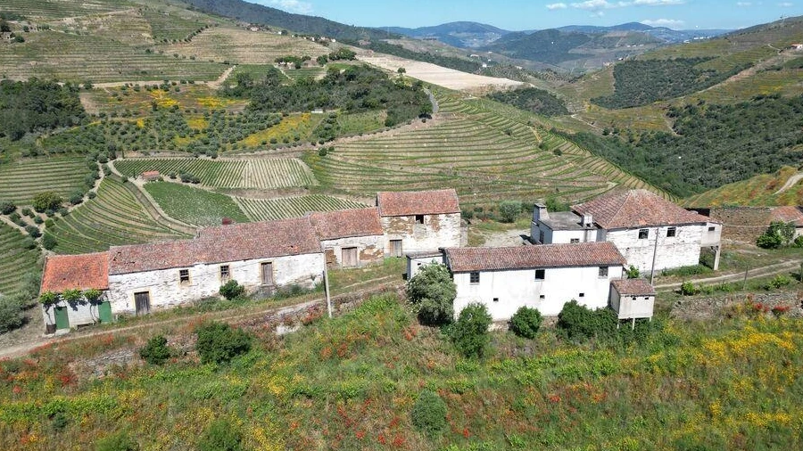 Quinta para Venda em Ervedosa do Douro