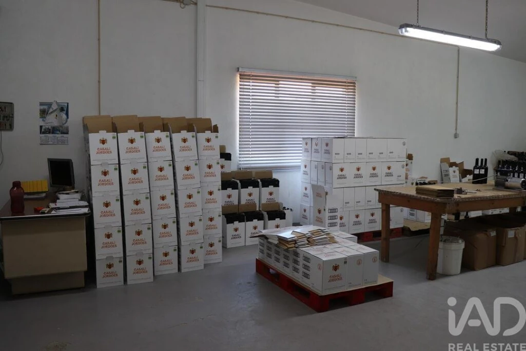 Quinta T2 para Venda em Ervedosa do Douro Foto 11