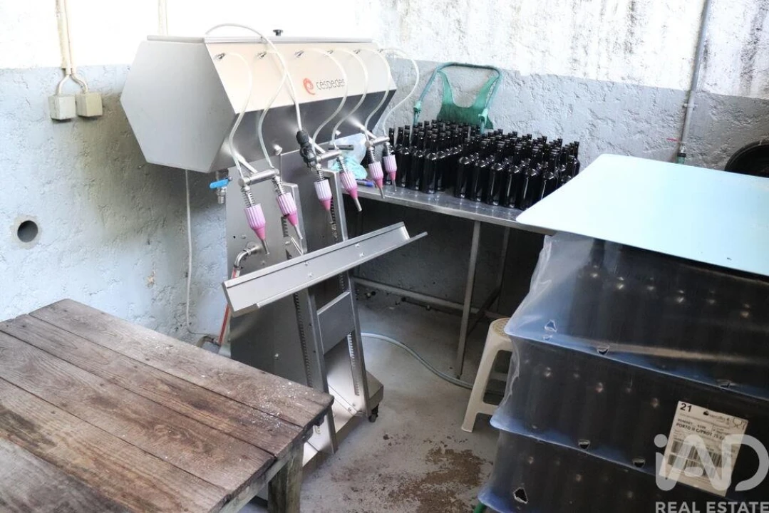 Quinta T2 para Venda em Ervedosa do Douro Foto 21