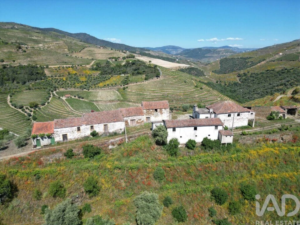 Quinta T2 para Venda em Ervedosa do Douro Foto 2