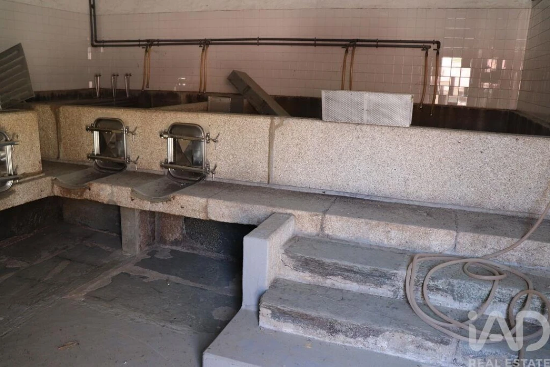 Quinta T2 para Venda em Ervedosa do Douro Foto 30