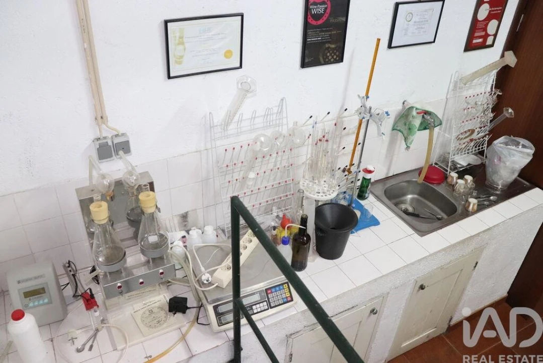 Quinta T2 para Venda em Ervedosa do Douro Foto 20