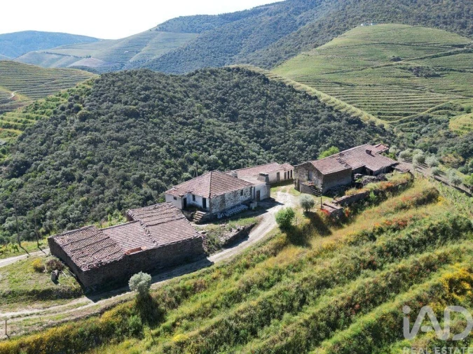 Quinta T2 para Venda em Ervedosa do Douro Foto 4