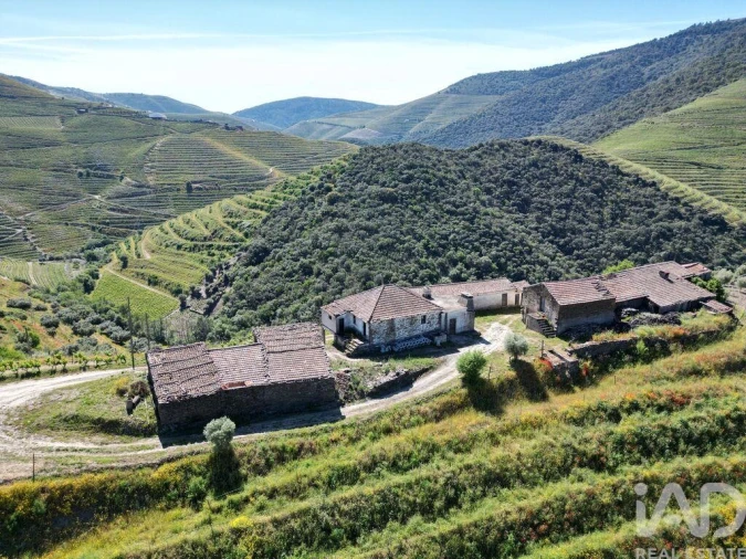 Quinta T2 para Venda em Ervedosa do Douro Foto 8