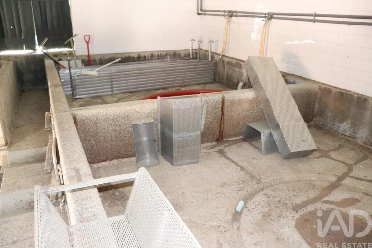 Quinta T2 para Venda em Ervedosa do Douro Foto 29