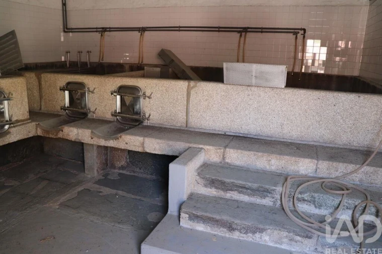 Quinta T2 para Venda em Ervedosa do Douro Foto 30