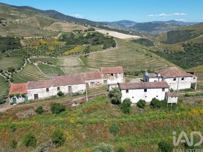 Quinta T2 para Venda em Ervedosa do Douro Foto 5