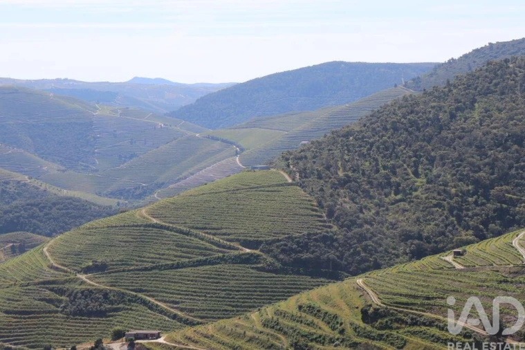 Quinta T2 para Venda em Ervedosa do Douro Foto 32