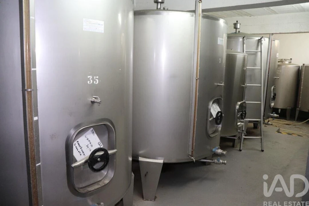 Quinta T2 para Venda em Ervedosa do Douro Foto 17