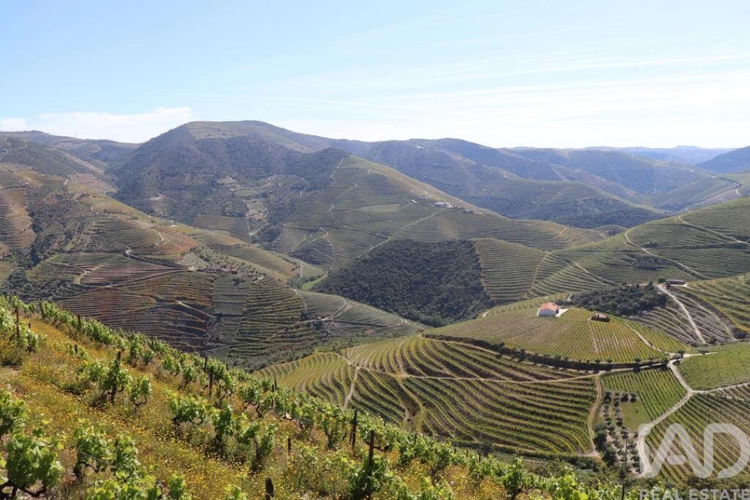 Quinta T2 para Venda em Ervedosa do Douro Foto 34