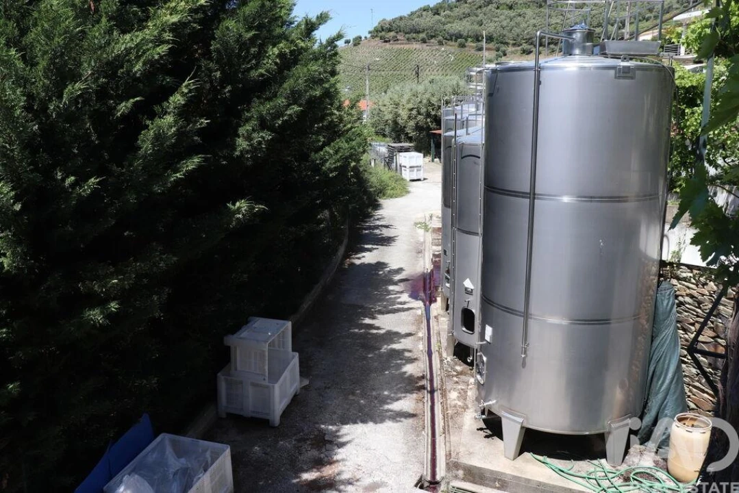 Quinta T2 para Venda em Ervedosa do Douro Foto 24