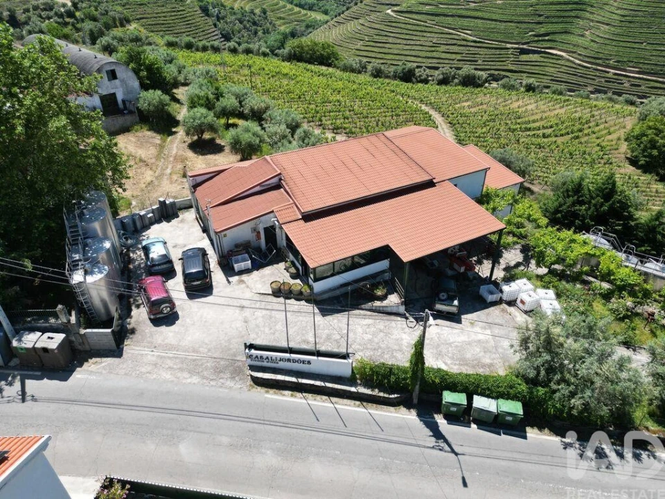 Quinta T2 para Venda em Ervedosa do Douro Foto 7