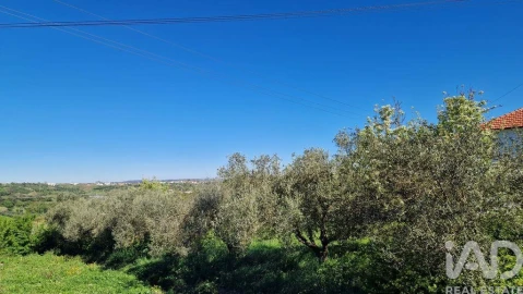 Terreno para Venda em Arrimal e Mendiga