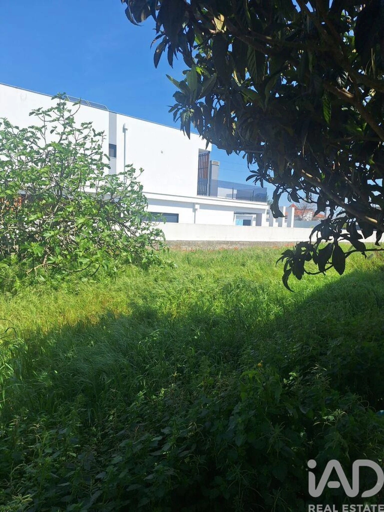 Terreno para Venda em Fernao Ferro Foto 3