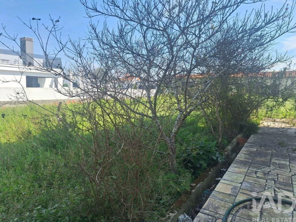 Terreno para Venda em Fernao Ferro Foto 1