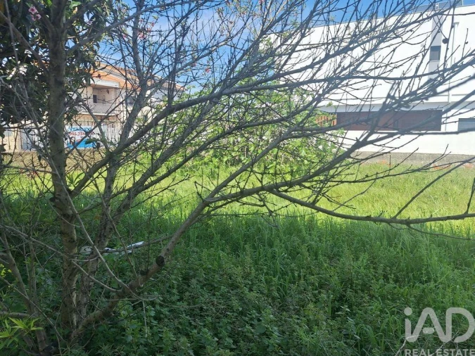 Terreno para Venda em Fernao Ferro Foto 4