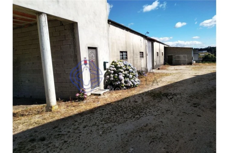 Armazém para Venda em Ferreira Foto 11