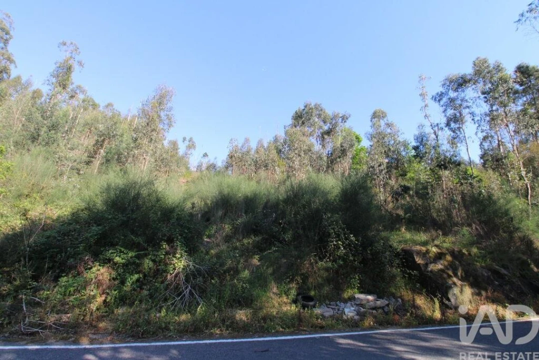 Terreno para Venda em Lemenhe, Mouquim e Jesufrei Foto 1