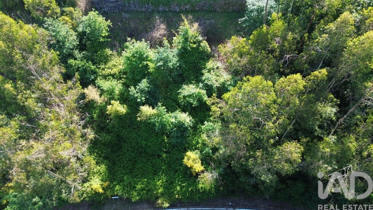 Terreno para Venda em Lemenhe, Mouquim e Jesufrei Foto 6