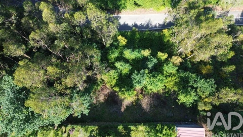 Terreno para Venda em Lemenhe, Mouquim e Jesufrei