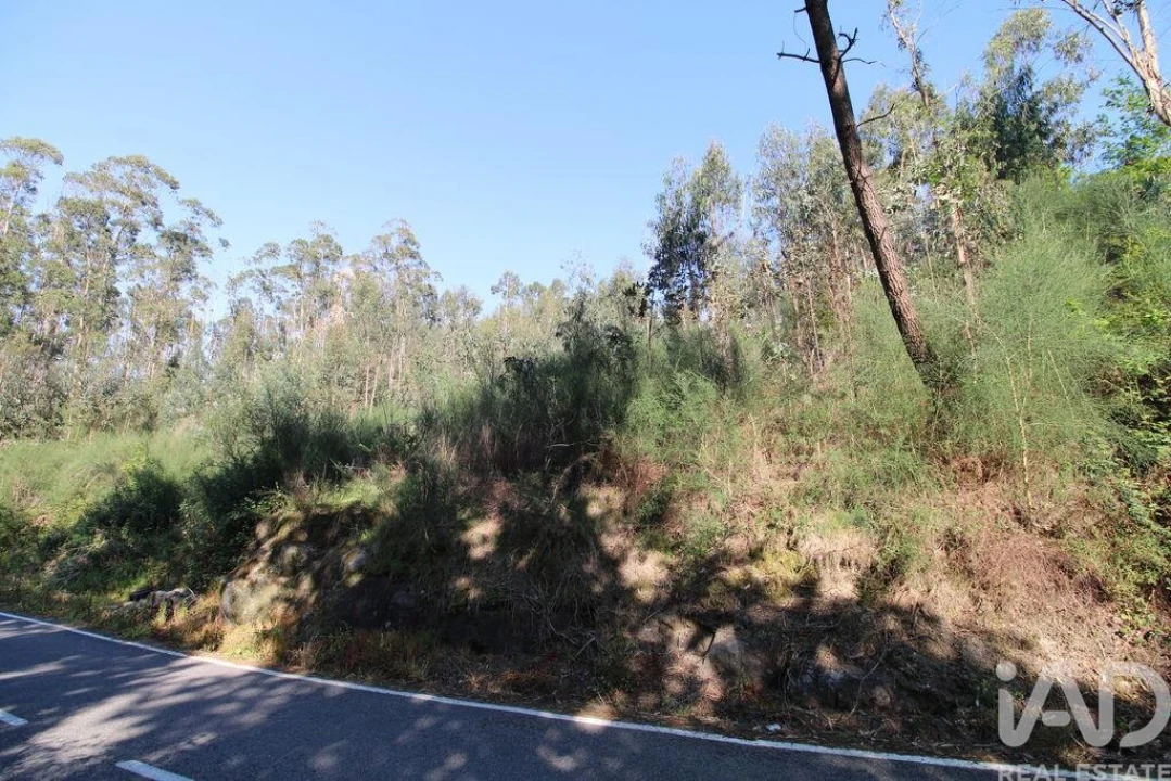 Terreno para Venda em Lemenhe, Mouquim e Jesufrei Foto 4