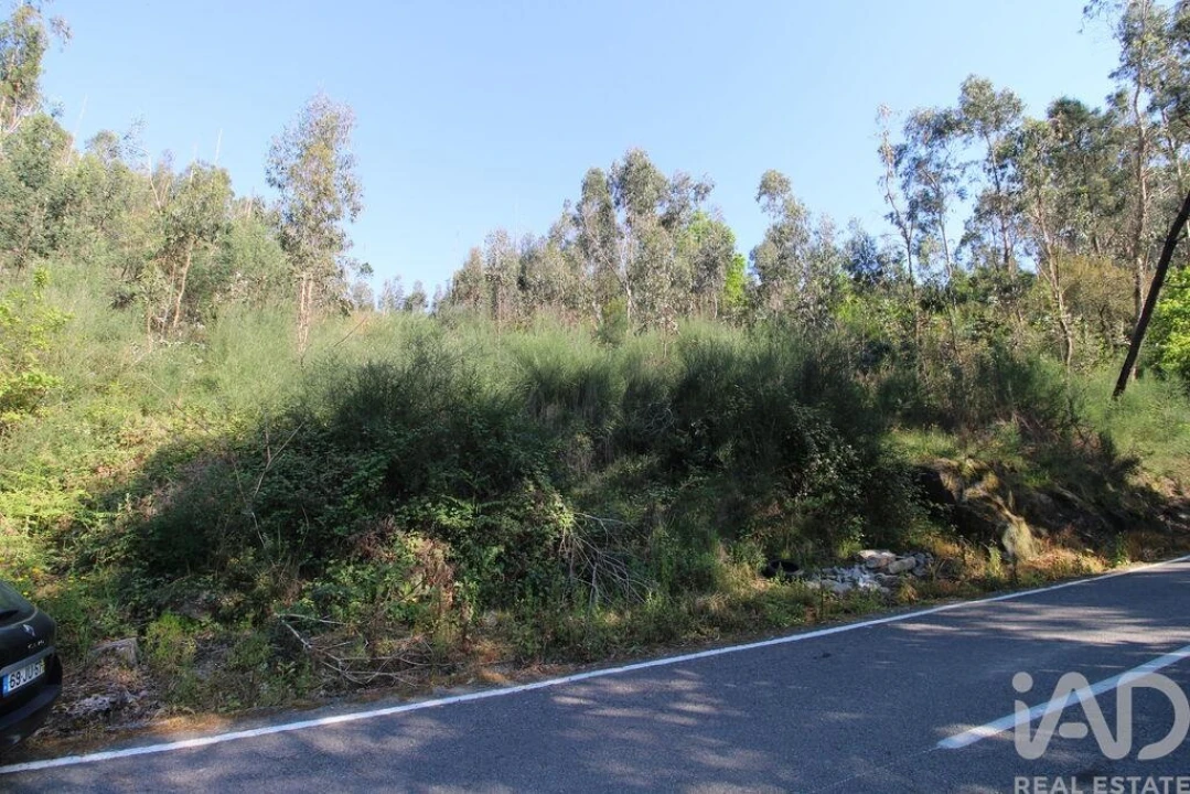 Terreno para Venda em Lemenhe, Mouquim e Jesufrei Foto 2