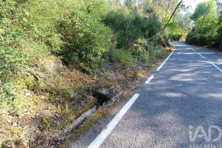 Terreno para Venda em Lemenhe, Mouquim e Jesufrei Foto 6