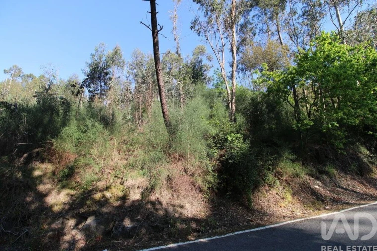 Terreno para Venda em Lemenhe, Mouquim e Jesufrei Foto 3