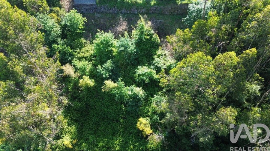 Terreno para Venda em Lemenhe, Mouquim e Jesufrei Foto 5