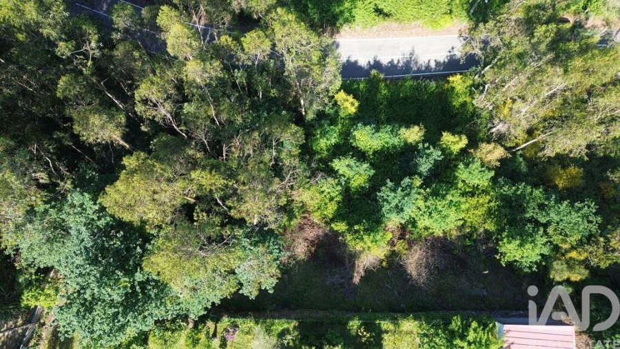 Terreno para Venda em Lemenhe, Mouquim e Jesufrei Foto 3