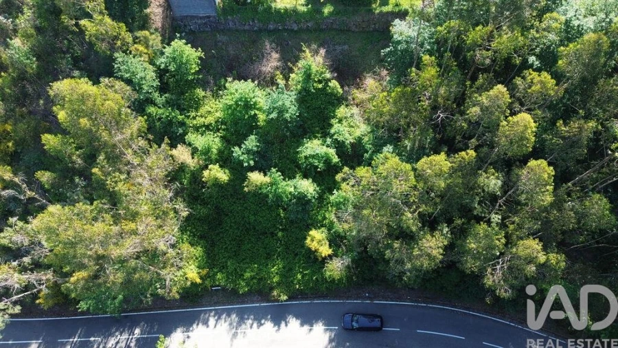 Terreno para Venda em Lemenhe, Mouquim e Jesufrei Foto 2