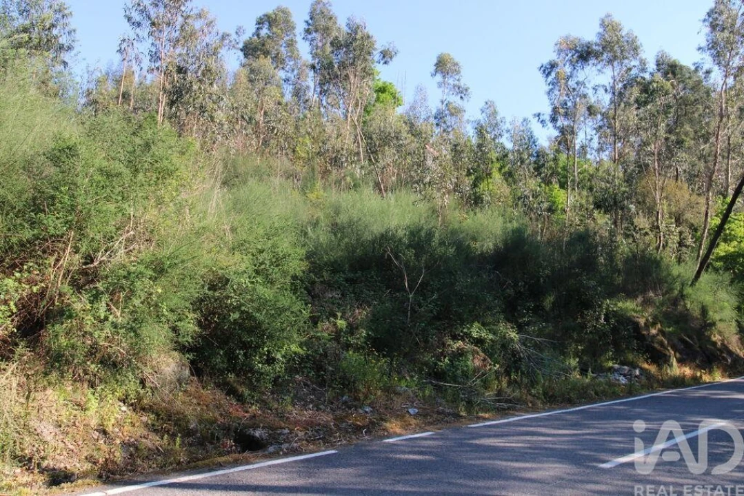 Terreno para Venda em Lemenhe, Mouquim e Jesufrei Foto 5