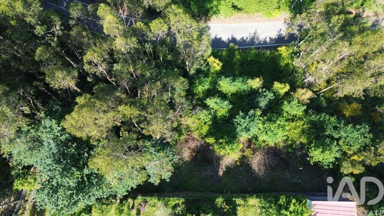 Terreno para Venda em Lemenhe, Mouquim e Jesufrei Foto 3