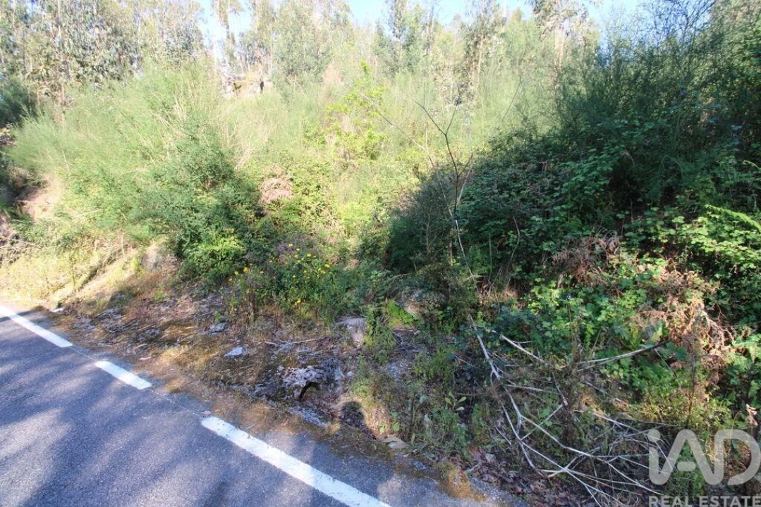 Terreno para Venda em Lemenhe, Mouquim e Jesufrei Foto 7