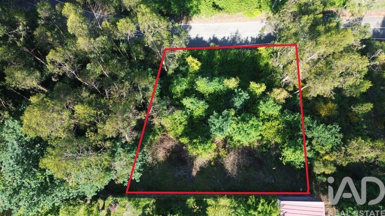 Terreno para Venda em Lemenhe, Mouquim e Jesufrei Foto 1