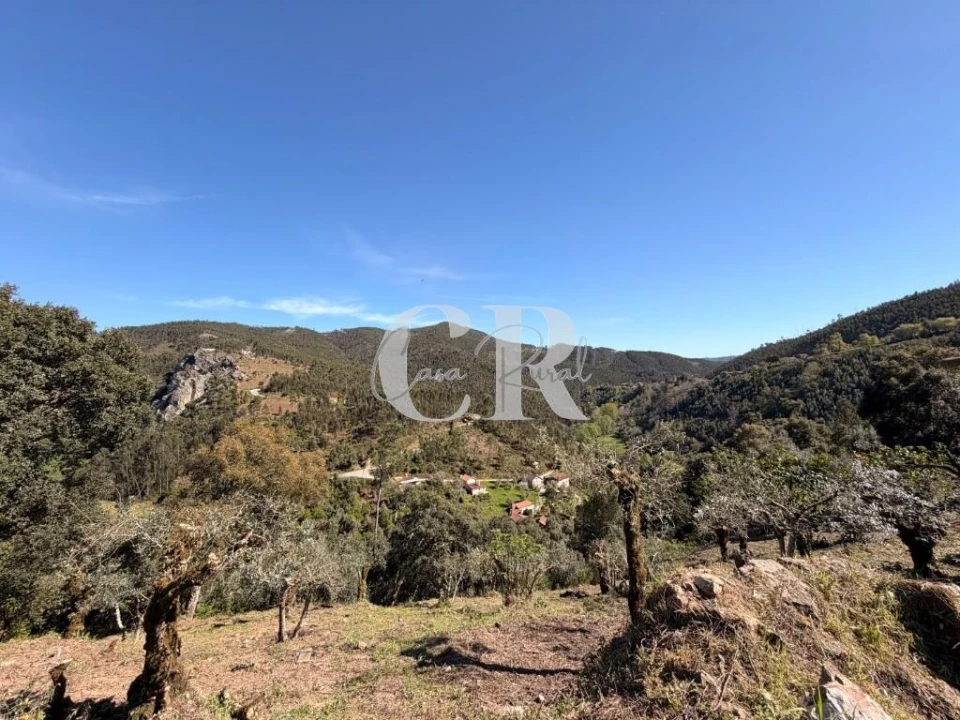 Moradia T2 para Venda em Aguda Foto 55